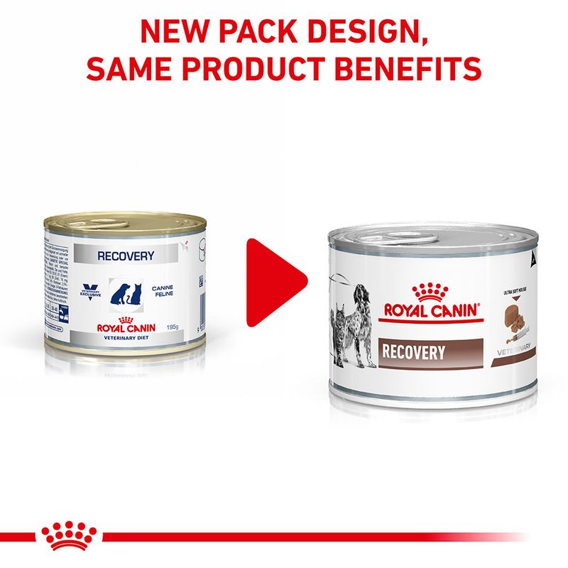 Royal Canin Veterinary Dog & Cat – Recovery Mousse || Royal Canin Veterinary Diet || view 2