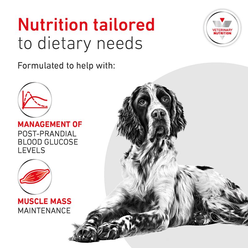 Royal Canin Veterinary Canine - Glycobalance