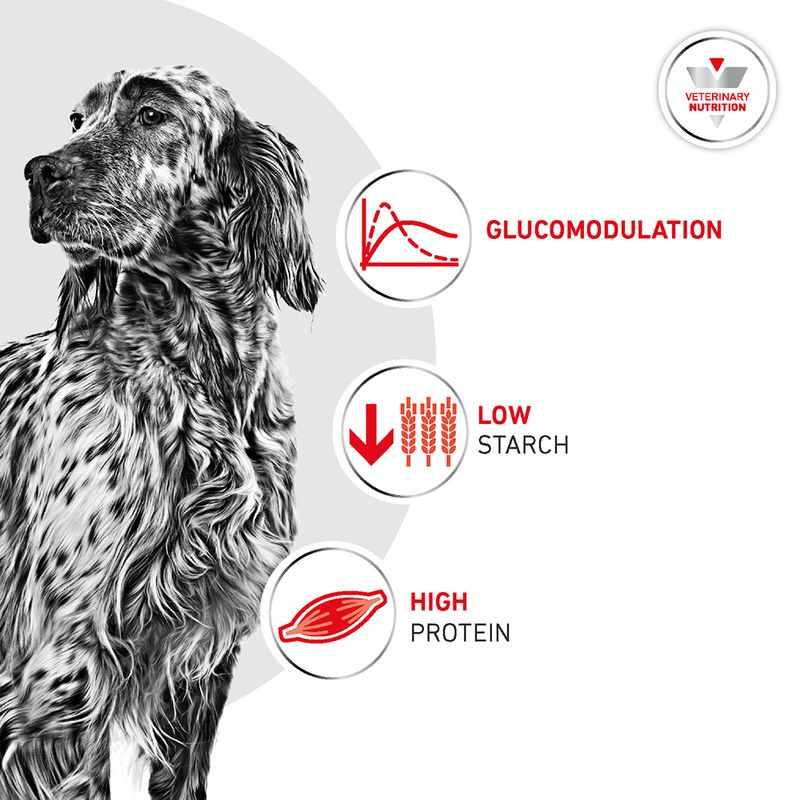 Royal Canin Veterinary Canine - Glycobalance