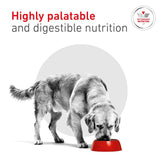 Royal Canin Veterinary Canine - Glycobalance