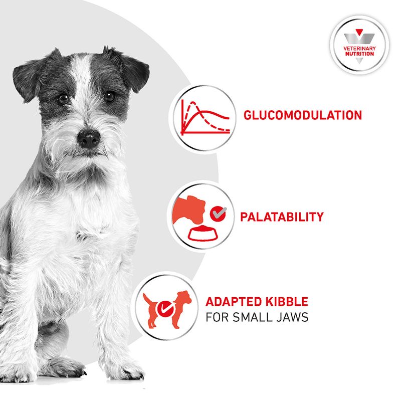Royal Canin Veterinary Canine - Glycobalance Small Dogs