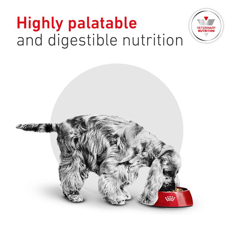 Royal Canin Veterinary Canine - Glycobalance Small Dogs