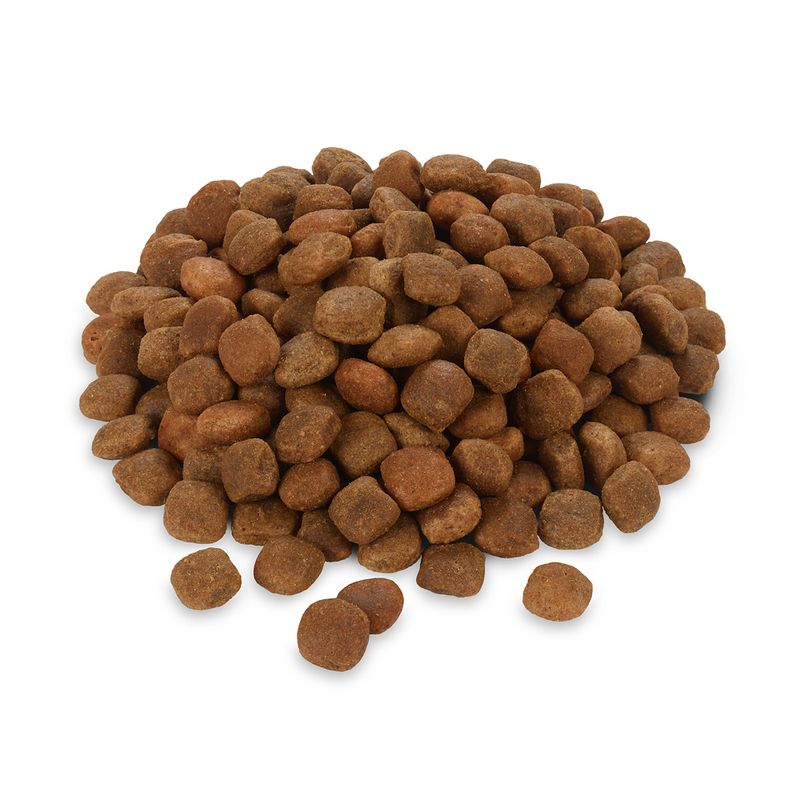 Rocco Diet Care Hypoallergenic - Lamb || undefined || view 2