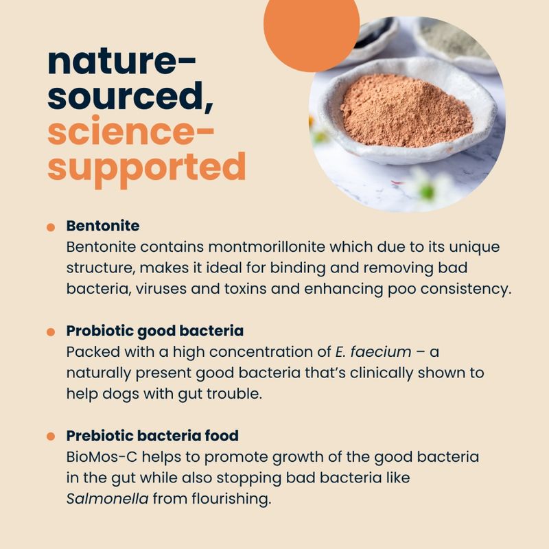 Seraquin Digest for Cats & Dogs
