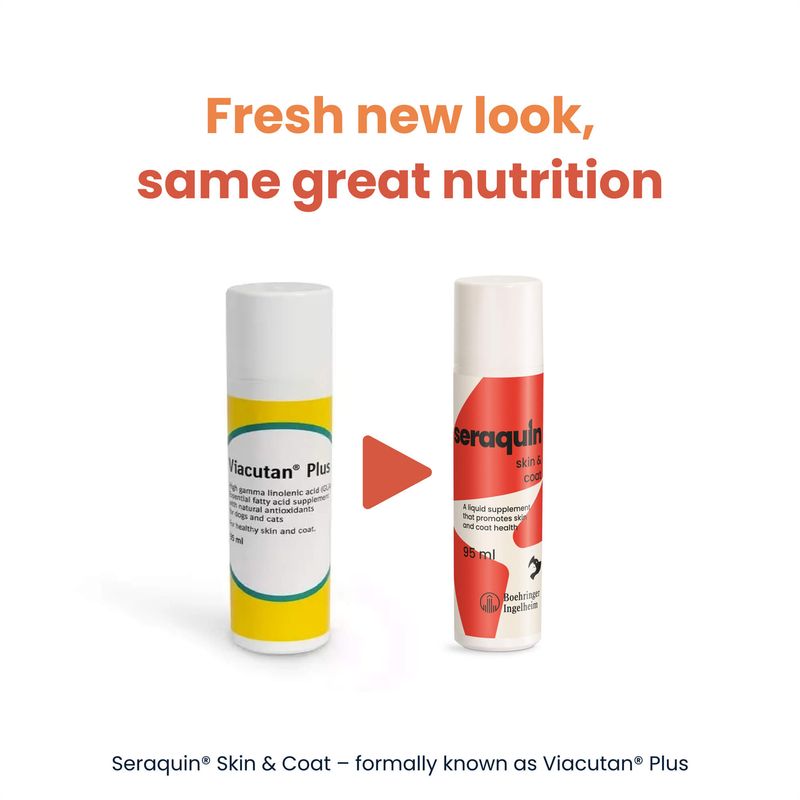 Seraquin Skin & Coat for Cats & Dogs