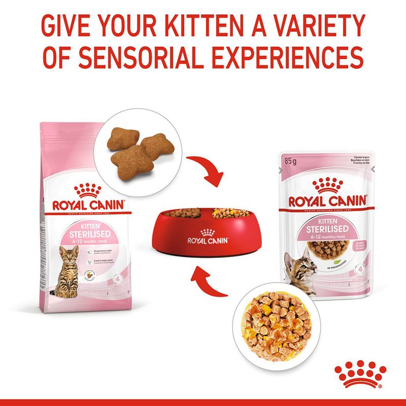 Royal Canin Sterilised Kitten in Jelly || Royal Canin || view 6