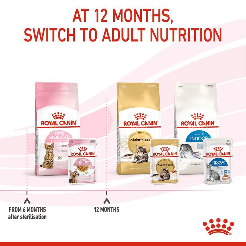 Royal Canin Sterilised Kitten in Jelly || Royal Canin || view 7