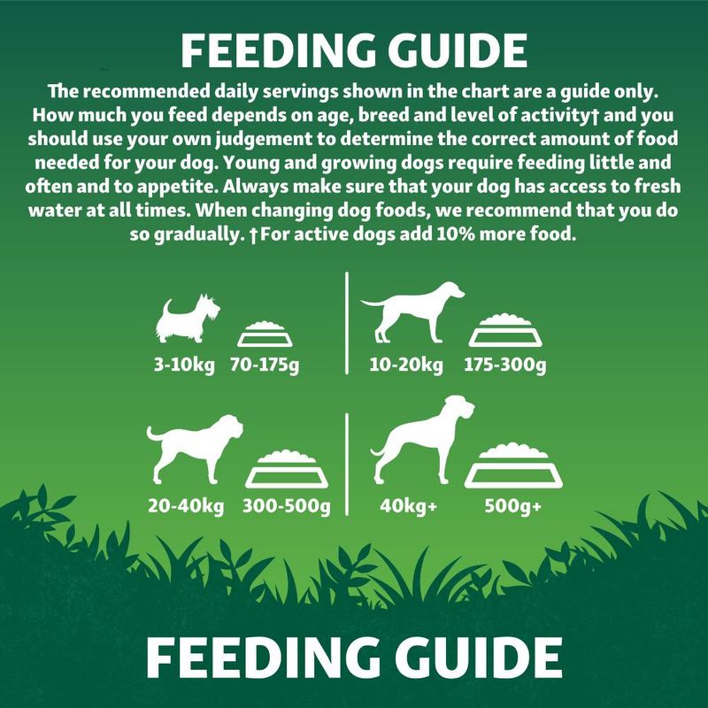 Harringtons Adult Grain Free with Superfoods Dry Dog Food - Salmon || Harringtons || view 6
