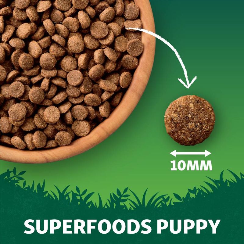 Harringtons Puppy Grain-Free with Superfoods Dry Dog Food - Chicken || Harringtons || view 3