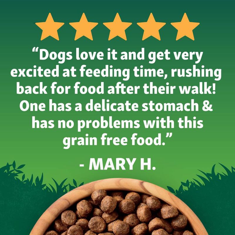Harringtons Adult Grain Free with Superfoods Dry Dog Food - Chicken || Harringtons || view 7