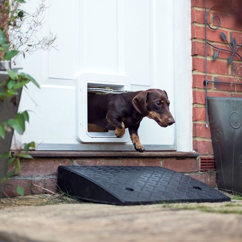 SureFlap Microchip Pet Door Connect || SureFlap || view 11