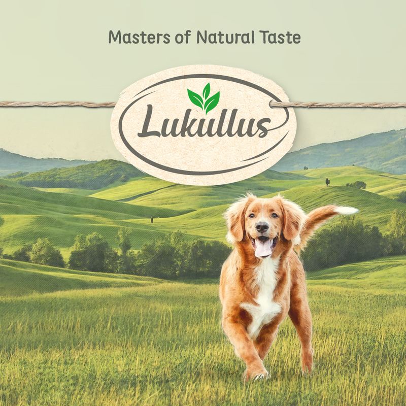 Lukullus Adult Turkey & Trout - Grain-Free || Lukullus || view 5