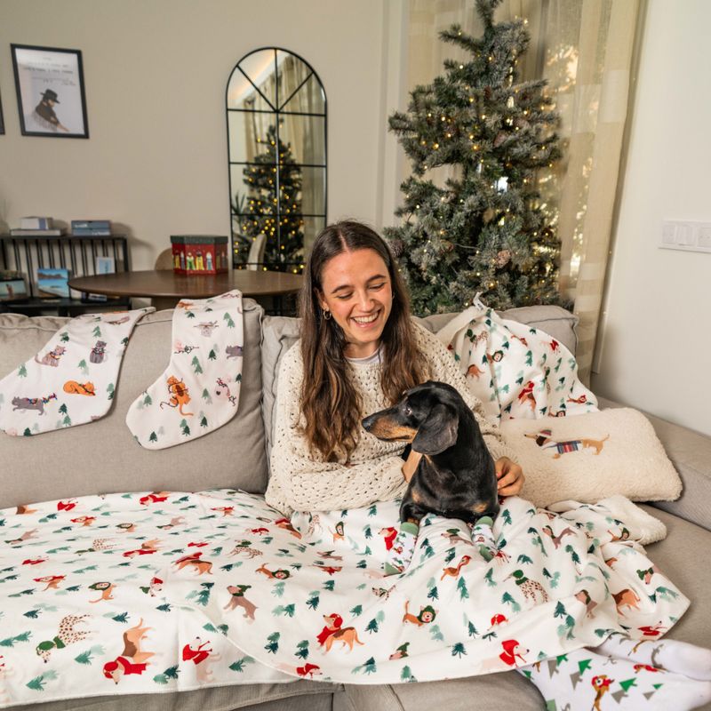 Dog-themed Christmas blanket, stockings and cushion with cartoon dog and tree prints on a sofa, small black and tan dachshund sitting on the blanket, decorated Christmas tree in background.