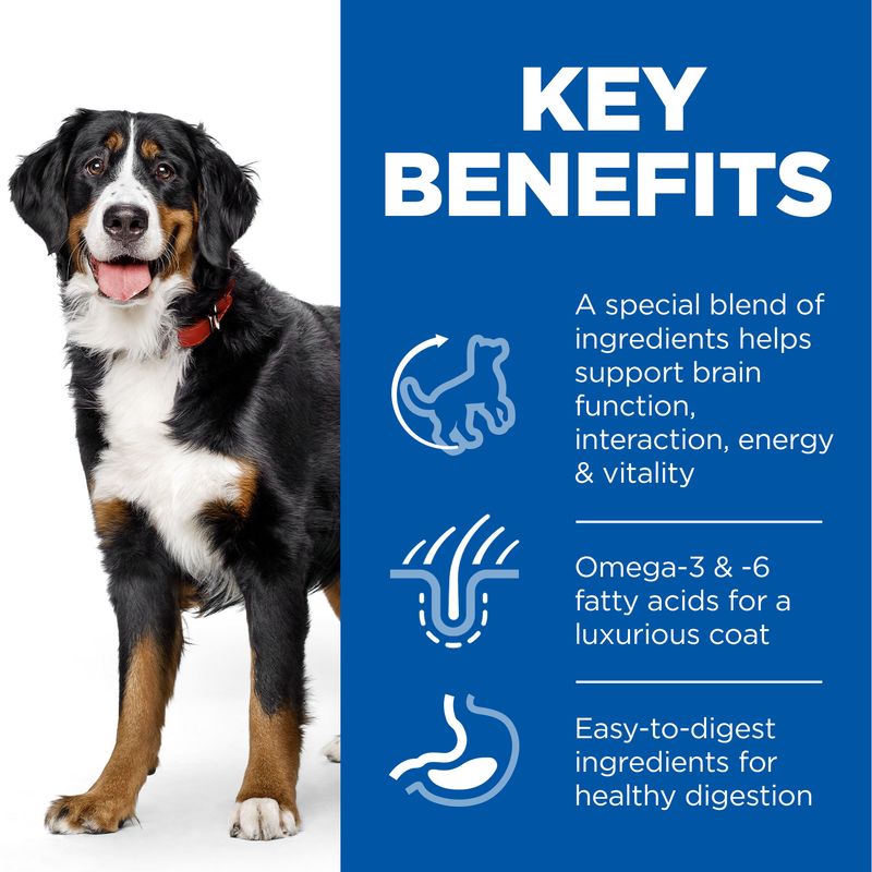 Hill’s Science Plan Adult 6+ Senior Vitality Large Breed with Chicken || Hill's Science Plan || view 4