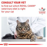 Royal Canin Veterinary Cat - Diabetic DS 46 || Royal Canin Veterinary Diet || view 3