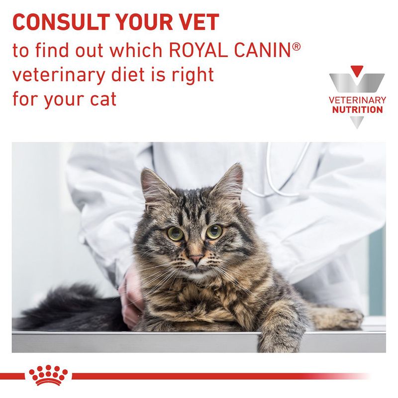 Royal Canin Veterinary Cat - Gastrointestinal Moderate Calorie in Gravy || undefined || view 10