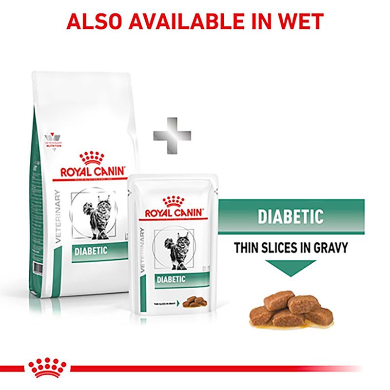 Royal Canin Veterinary Cat - Diabetic DS 46 || Royal Canin Veterinary Diet || view 9