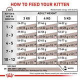 Feeding guide chart for kittens by age in months and adult weight, showing daily dry food grams or mix with half a can of mousse. Includes water advice and note to consult a veterinarian.