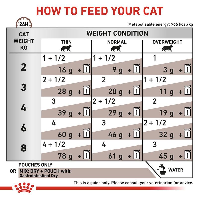 Royal Canin Veterinary Cat - Gastrointestinal in Gravy || undefined || view 6