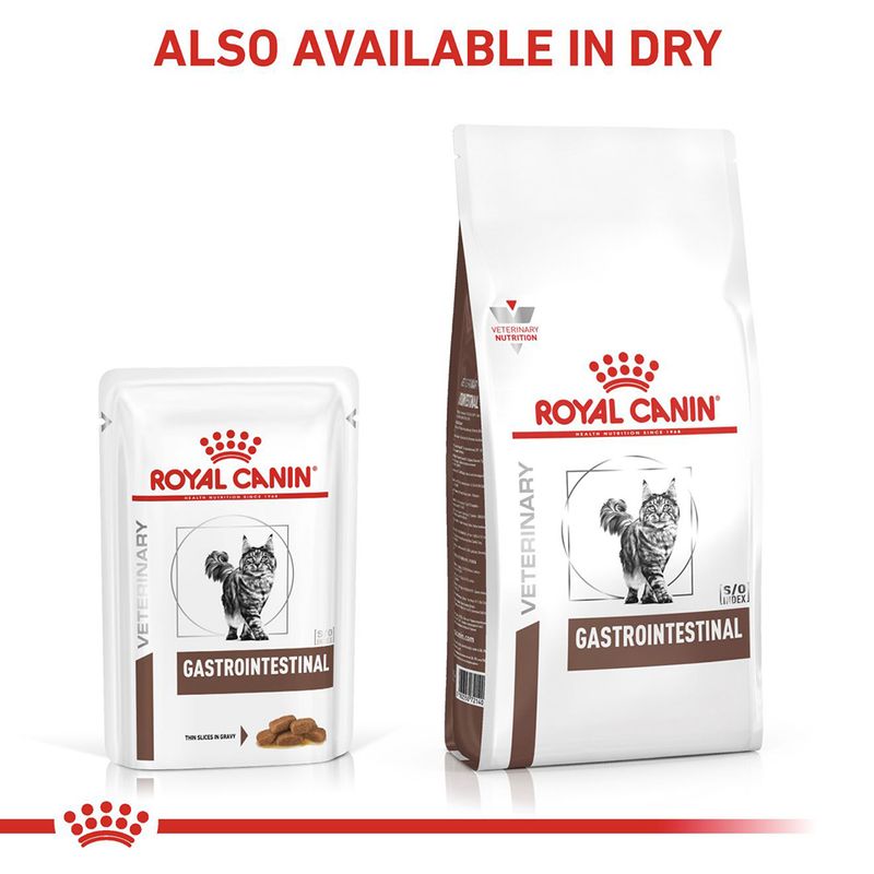 Royal Canin Veterinary Cat - Gastrointestinal in Gravy || undefined || view 8
