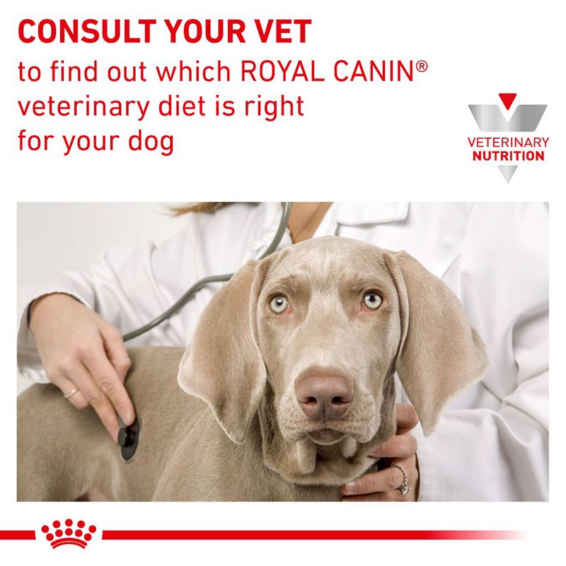 Royal Canin Veterinary Canine Gastrointestinal High Fibre Loaf || Royal Canin Veterinary Diet || view 8