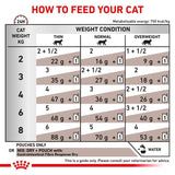 Royal Canin Veterinary Cat - Gastrointestinal Fibre Response in Gravy || undefined || view 8