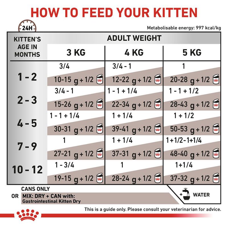 Royal Canin Veterinary Cat - Kitten Gastrointestinal Ultra Soft Mousse || undefined || view 4