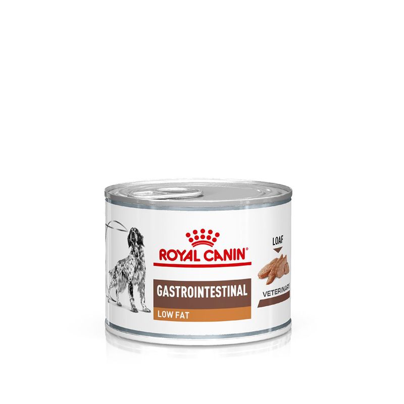 Royal Canin Veterinary Canine Gastrointestinal Low Fat Loaf || Royal Canin Veterinary Diet || view 1