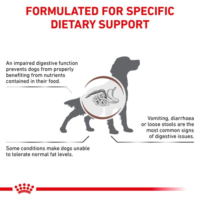 Royal Canin Veterinary Canine Gastrointestinal Low Fat Loaf || Royal Canin Veterinary Diet || view 4