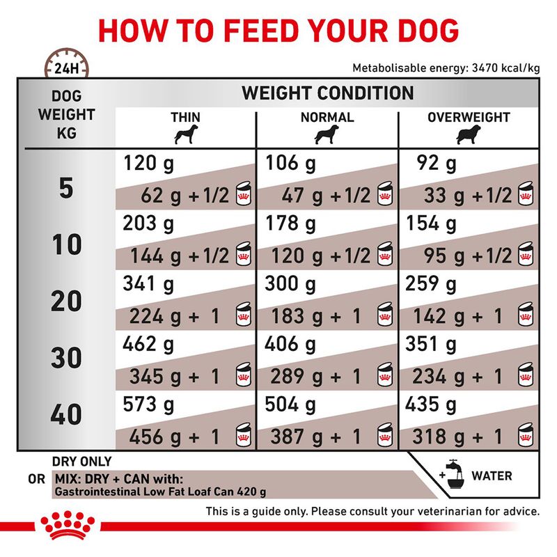 Royal Canin Veterinary Canine Gastrointestinal Low Fat || Royal Canin Veterinary Diet || view 4