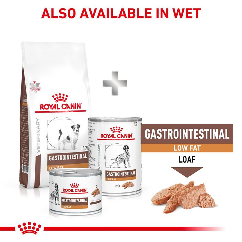 Royal Canin Veterinary Dog - Gastrointestinal Low Fat Small Dog || Royal Canin Veterinary Diet || view 10