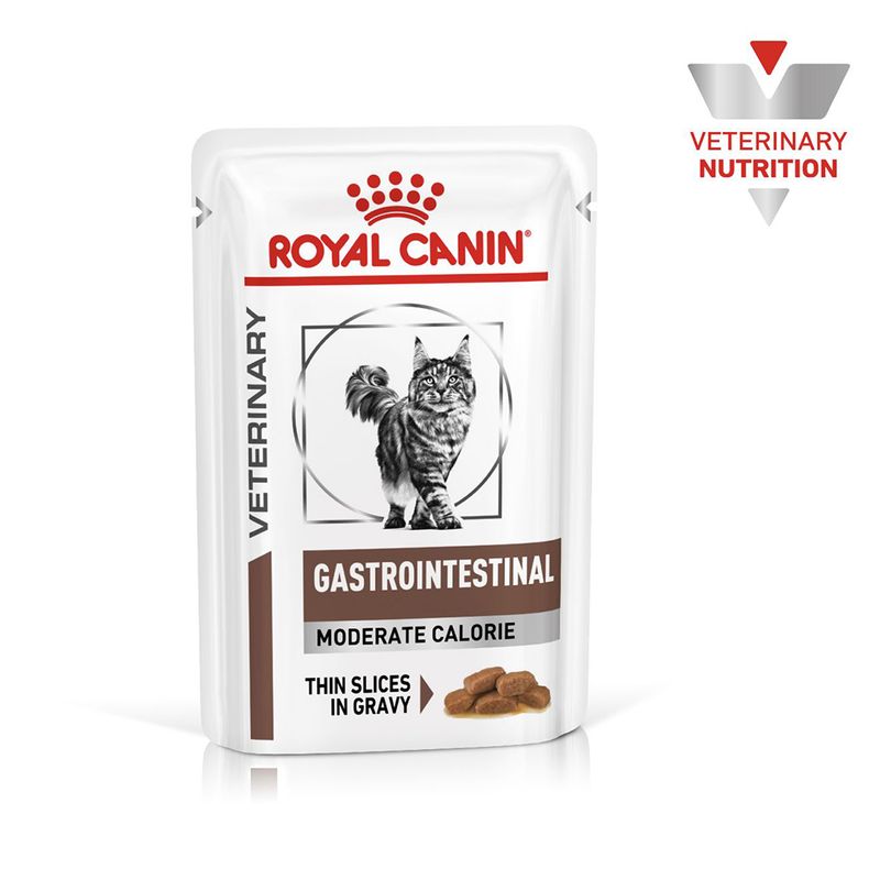Royal Canin Veterinary Cat - Gastrointestinal Moderate Calorie in Gravy || undefined || view 1