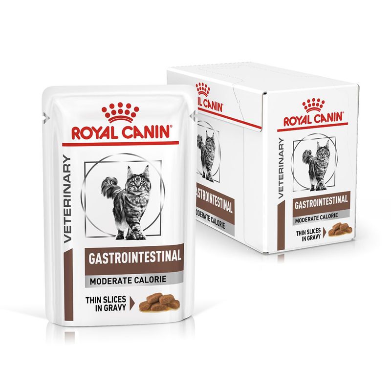 Royal Canin Veterinary Cat - Gastrointestinal Moderate Calorie in Gravy || undefined || view 4