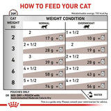 Royal Canin Veterinary Cat - Gastrointestinal Moderate Calorie in Gravy || undefined || view 7