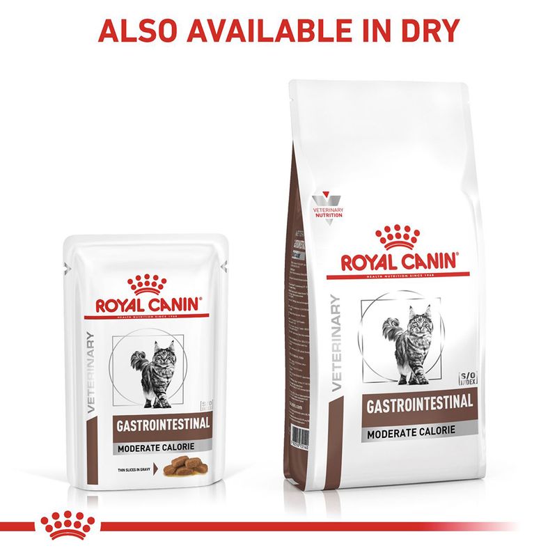 Royal Canin Veterinary Cat - Gastrointestinal Moderate Calorie in Gravy || undefined || view 9