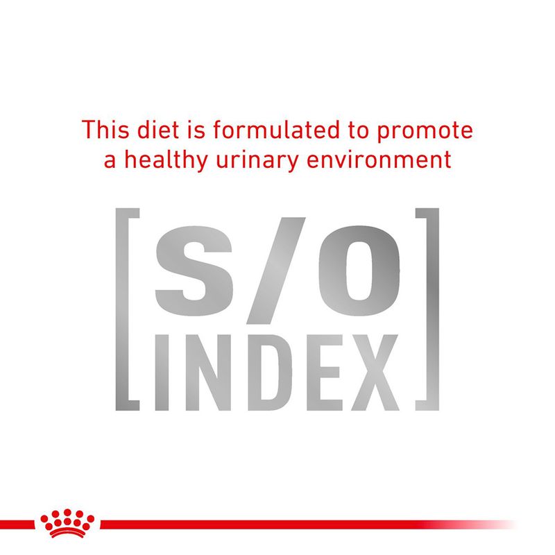 Royal Canin Veterinary Cat - Gastrointestinal Fibre Response in Gravy || undefined || view 6