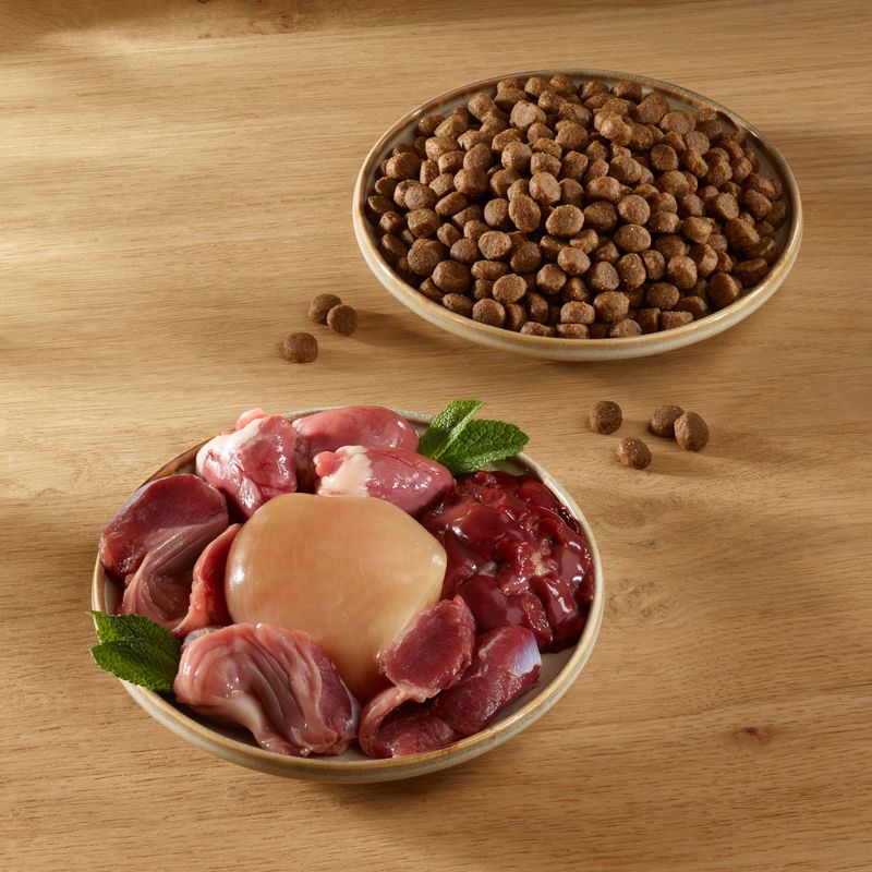 Wild Freedom Adult "Deep Forest" Venison - Grain-Free