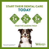 Whimzees by Wellness Monthly Stix Box || WHIMZEES || view 6
