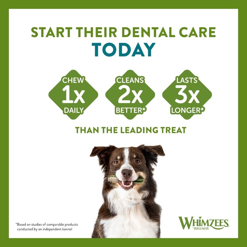 Whimzees by Wellness Toothbrush || WHIMZEES || view 5
