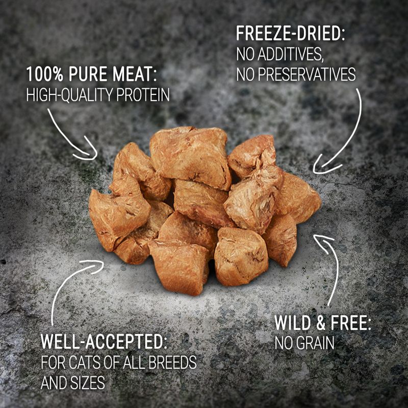 Freeze-dried pure meat treats with no additives or preservatives, high-quality protein, grain-free, well-accepted by cats of all breeds and sizes as shown in the image text.