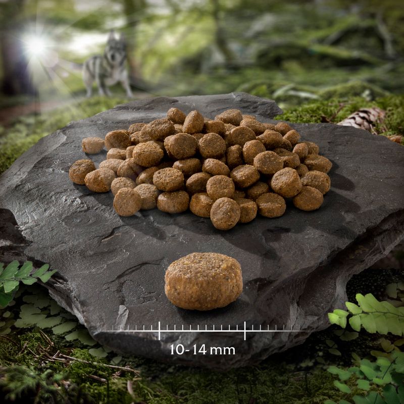 Dry food in ball shape on stone slab, size 10-14 mm visible. Background with forest motif and wolf.