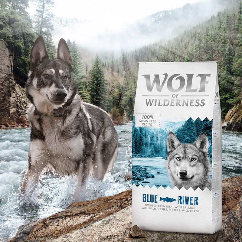 Wolf of Wilderness Blue River dry food with fresh chicken and salmon, 100% grain-free recipe, with forest berries, roots and wild herbs.