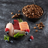 Bowl with raw chicken, beef, salmon, trout, raspberries and blueberries. Next to it, a bowl with brown dry food kibbles.