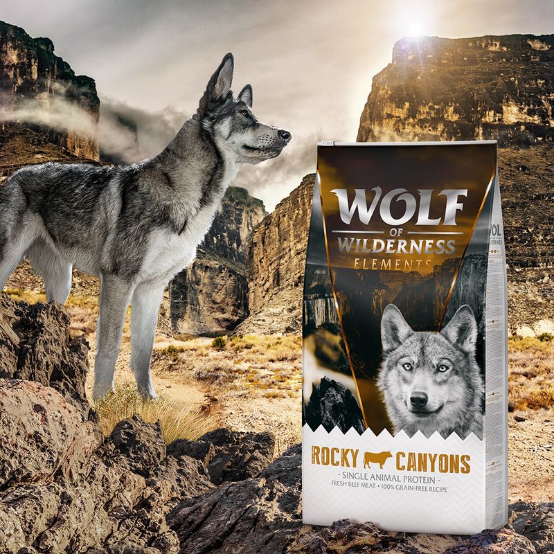 Bag labelled 'Wolf of Wilderness Elements Rocky Canyons', single animal protein, fresh beef meat, 100% grain-free recipe, shown outdoors with a wolf in a rocky canyon landscape.