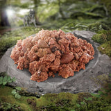Wolf of Wilderness Adult "The Taste of" 6 x 400g || Wolf of Wilderness || view 13
