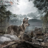 Wolf of Wilderness Dog Food Bag || Wolf of Wilderness || view 9