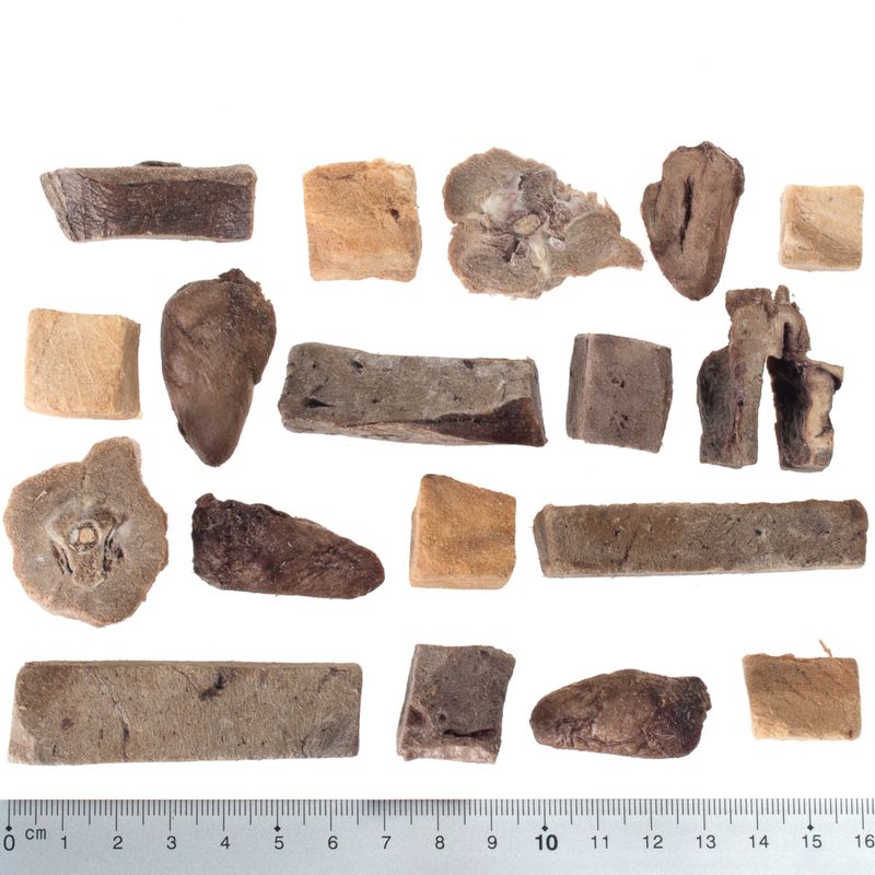 Various dried meat pieces in different shapes and sizes, including a ruler for size indication in centimetres.