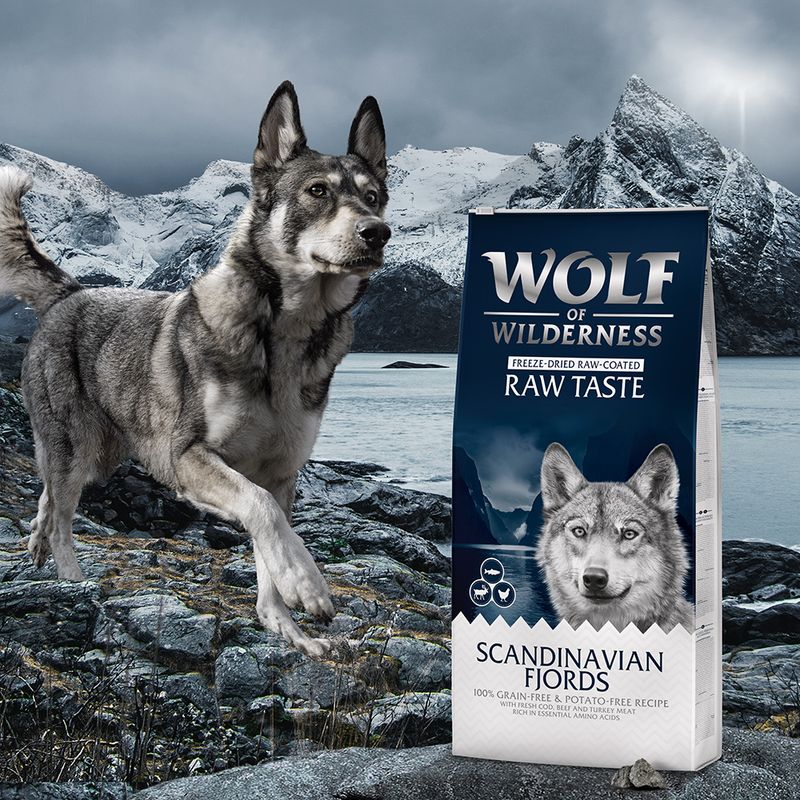 Wolf of Wilderness "Scandinavian Fjords" - with Reindeer, Chicken & Salmon || Wolf of Wilderness || view 6