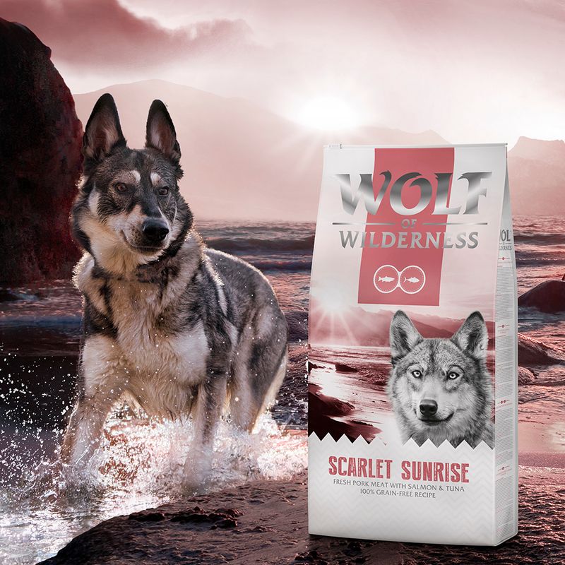 Wolf of Wilderness Adult "Scarlet Sunrise" - Salmon & Tuna || Wolf of Wilderness || view 5