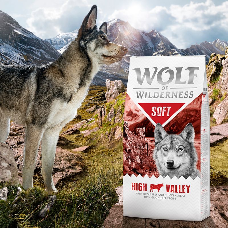 Wolf of Wilderness Soft "High Valley" - Beef || Wolf of Wilderness || view 5
